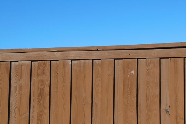 Fence or pergola staining project