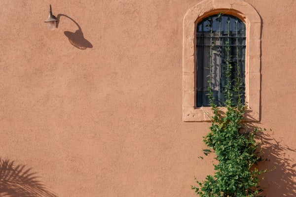 Venetian plaster or limewash wall finish
