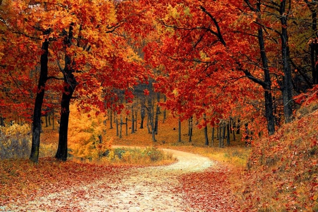 Fall season image